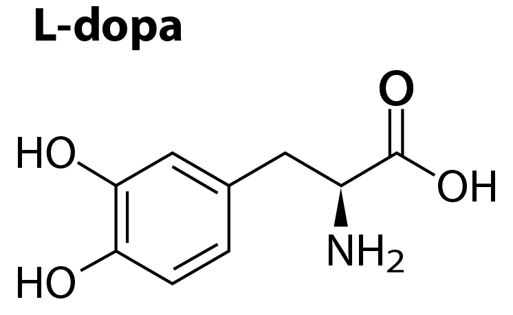 โครงสร้าง สาร L-DOPA